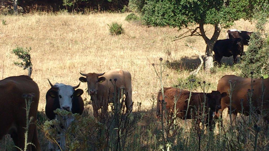 Riserva Del Noce Caltagirone Bagian luar foto
